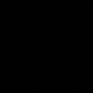 Meet your Posher, Dylan